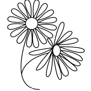 Draw Easy Daisy Flower