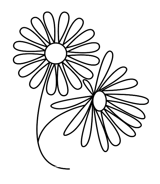 Draw Easy Daisy Flower