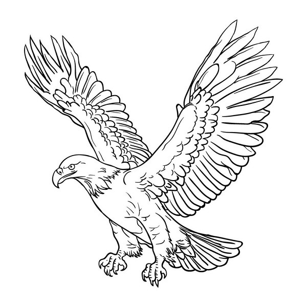 Eagle
