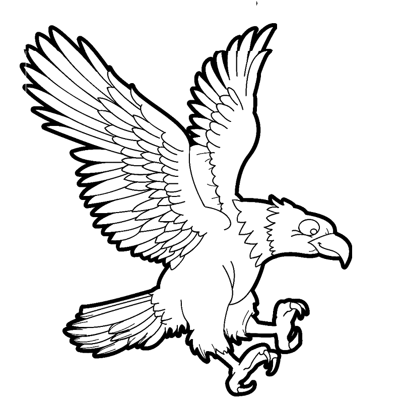 Eagle For Children