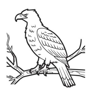 Eagle coloring drawing