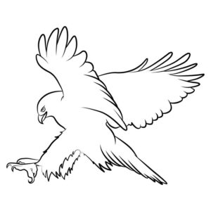 Eagle coloring pages for kids