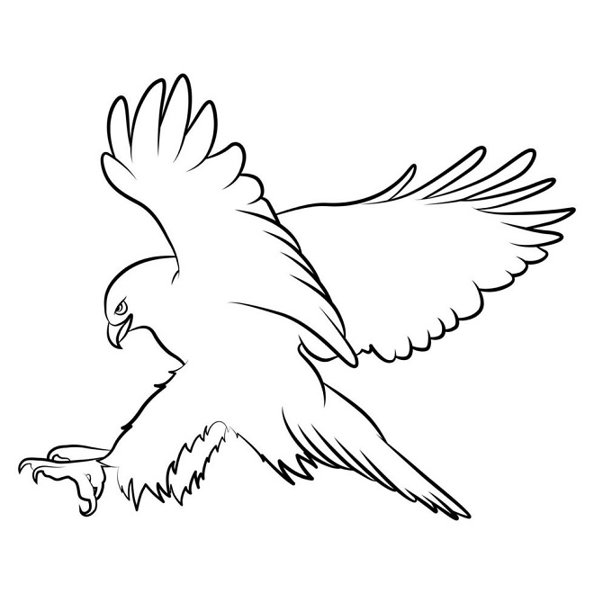 Eagle coloring pages for kids