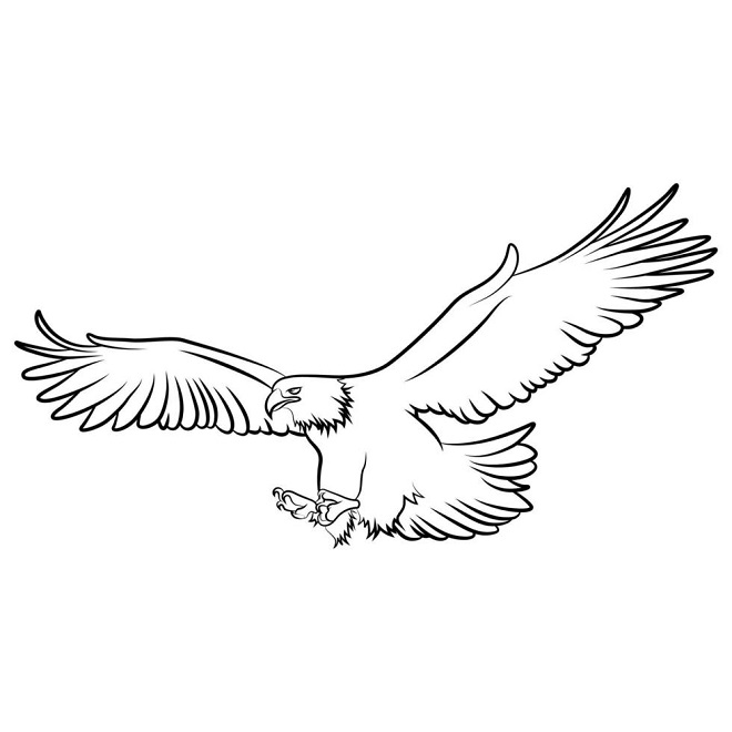 Eagle coloring pages free printable pdf