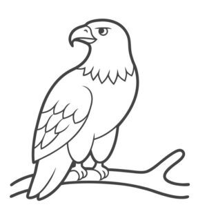 Eagle drawing images Hd