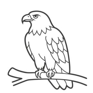 Eagle drawing images hd free download