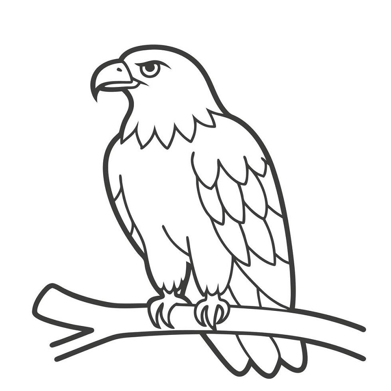 Eagle drawing images hd free download