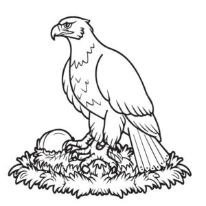 Eagle drawing with color