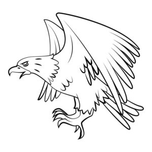Eagle images for drawing