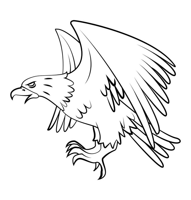 Eagle images for drawing