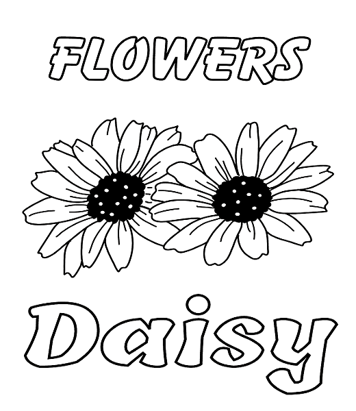 Flowers Daisy