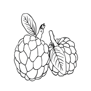 Free Printable Custard Apple