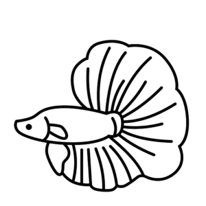 Image of Betta Fish