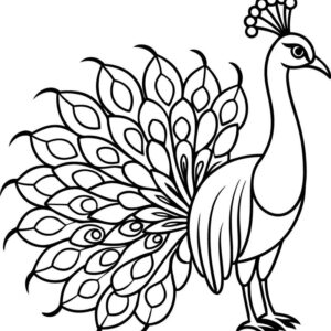Peacock coloring pages pdf