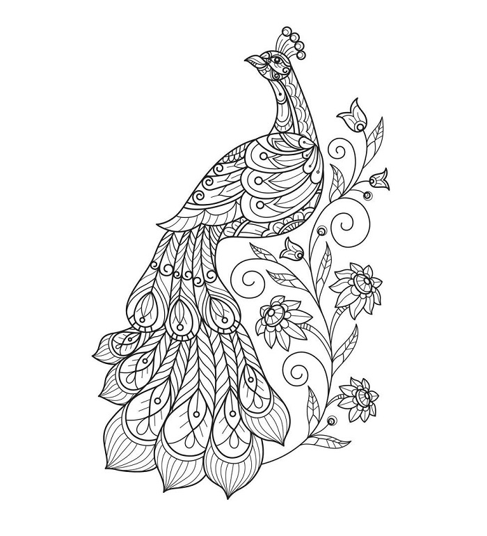 Peacock coloring sheet free