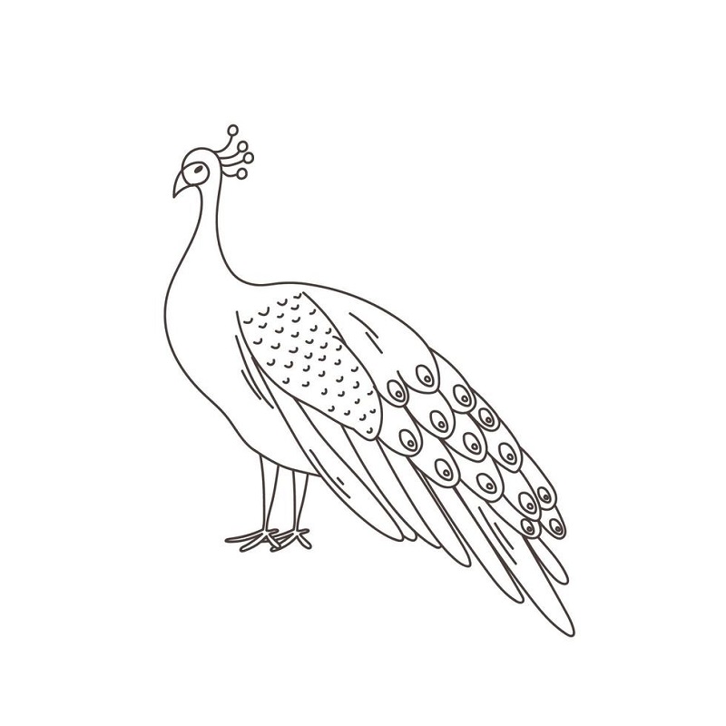 Peacock images download Pdf