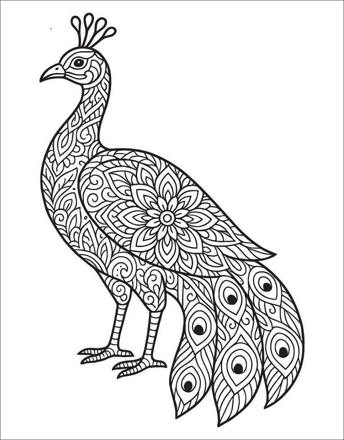 Peacock images download