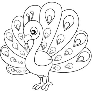 Peacock images drawing cute