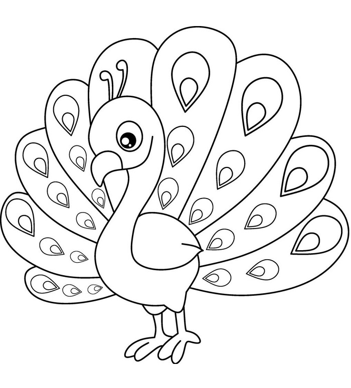 Peacock images drawing cute