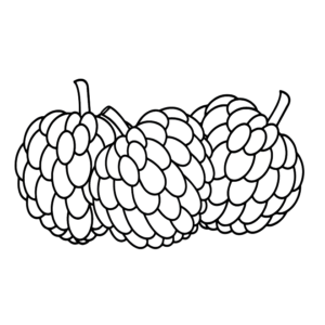 Pictures Custard Apple