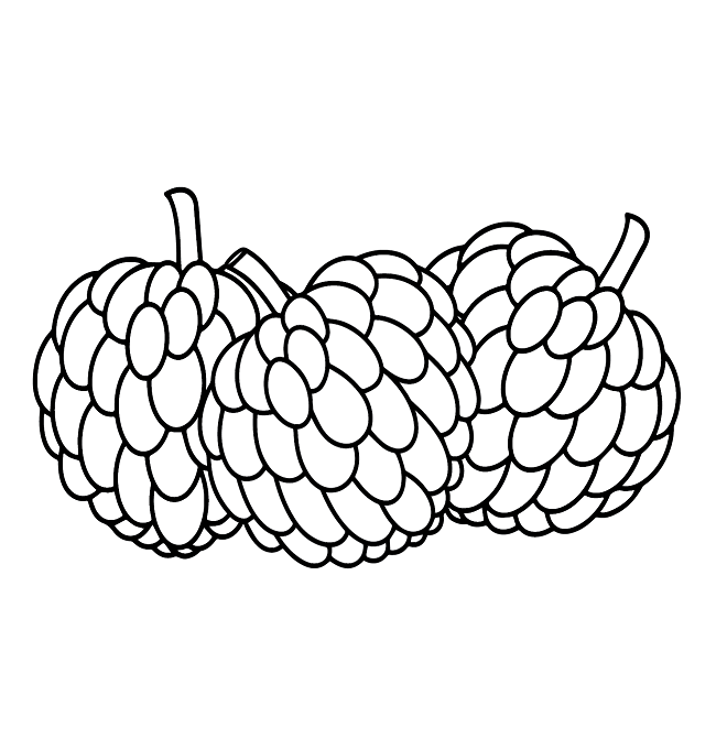 Pictures Custard Apple