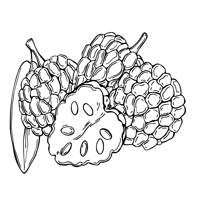 Print Custard Apple