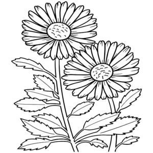 Printable Daisy
