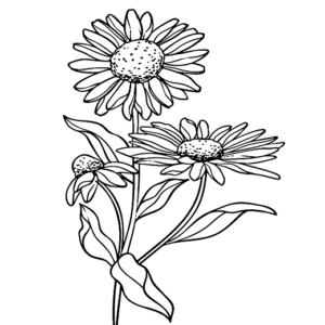 Printable Daisy Flowers