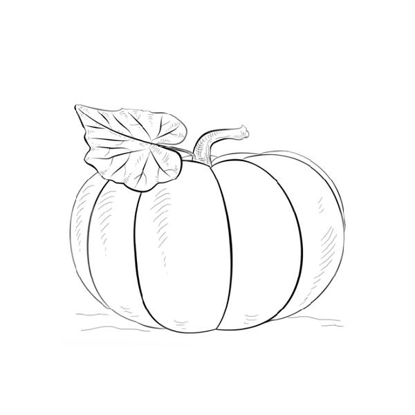 Pumkin Coloring Page