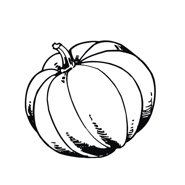 Pumpkin Coloring Free