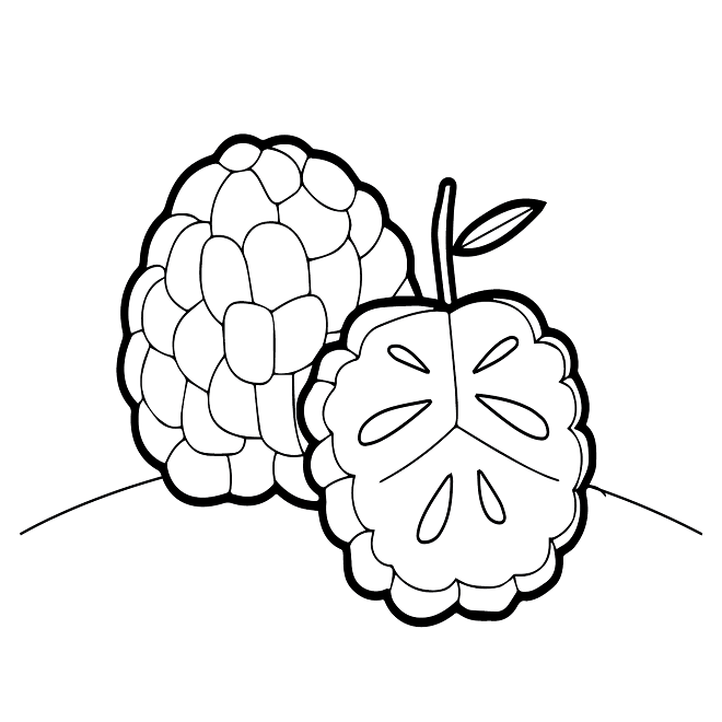 Ripe Custard Apple