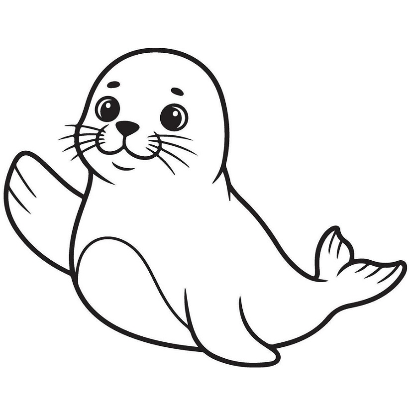 Seal