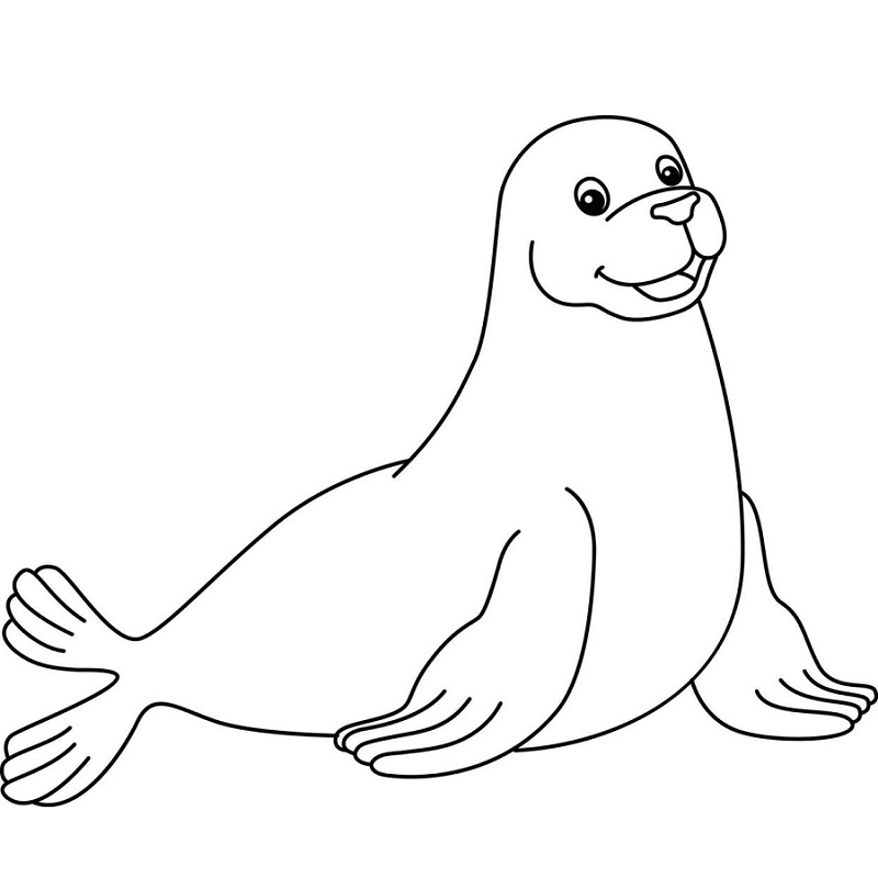 Seal coloring page download pdf free