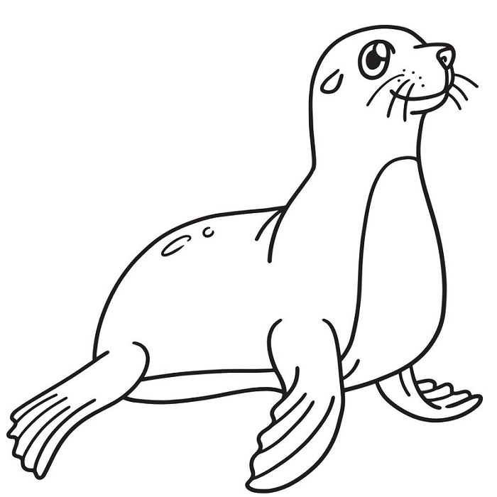 Seal coloring page free printable