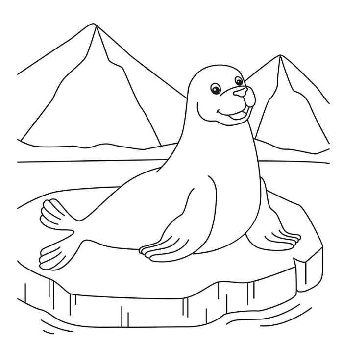 Seal coloring sheet