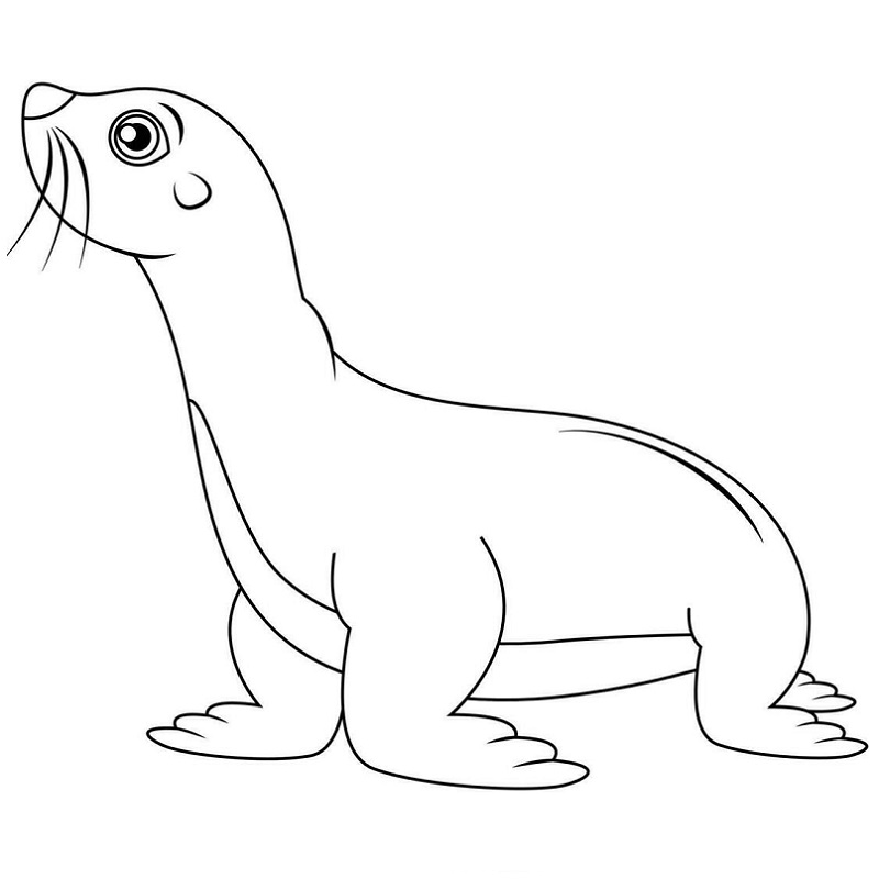 Seal images free download