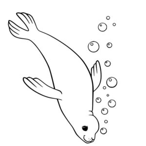 Simple Swimming Seal