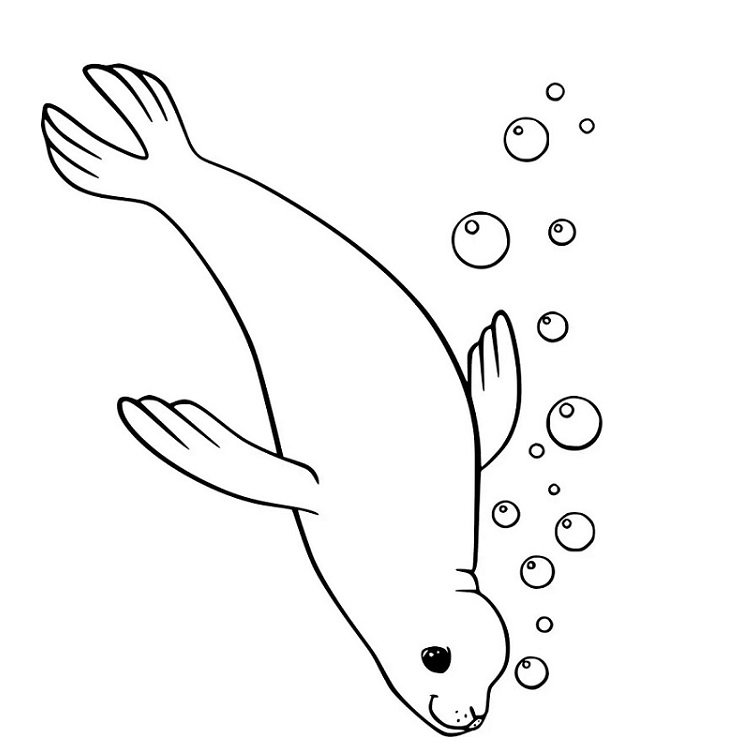 Simple Swimming Seal
