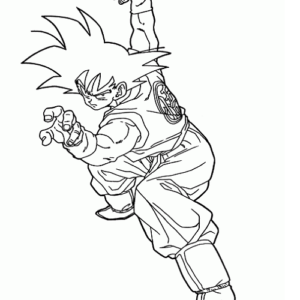 SonGoku From Dragon Ball
