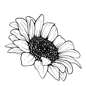 Sunflower Coloring Pages