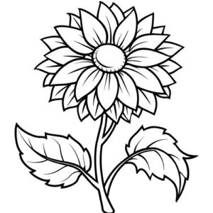 Sunflower coloring book