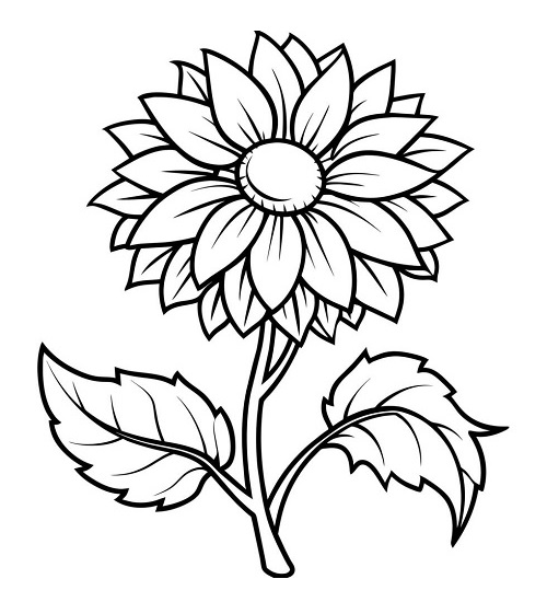 Sunflower coloring book