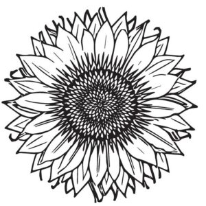 Sunflower coloring pages pdf