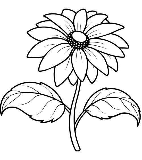 Sunflower coloring pages printable
