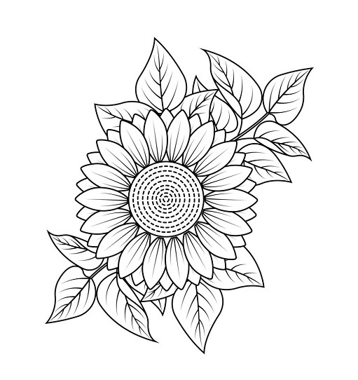 Sunflower coloring sheet
