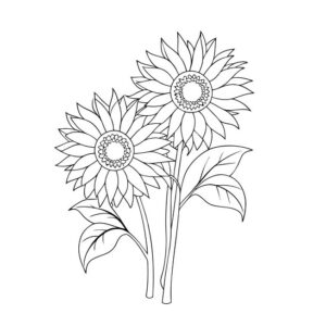 Sunflower images free download