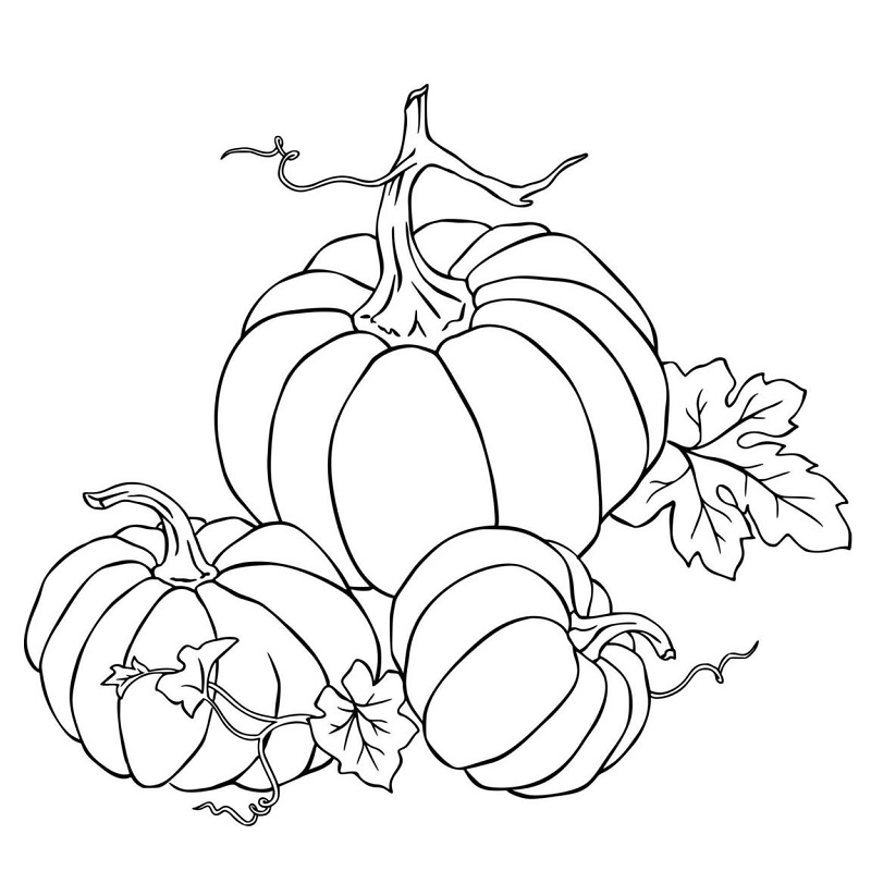 Three Pumpkins halloween coloring page