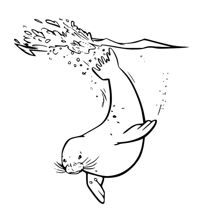 Underwater Seal