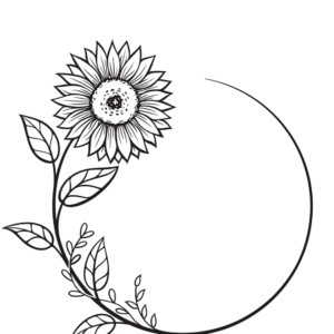 sunflower black sunfloweimages