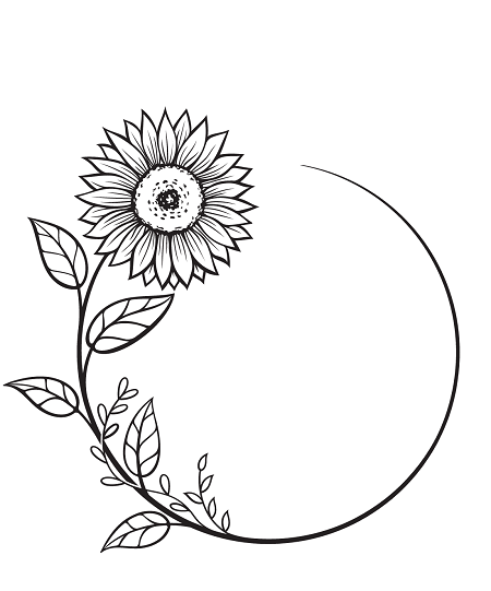 Sunflower black Sunflower images